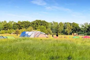 Non electric grass tent pitches at Wolford Wood