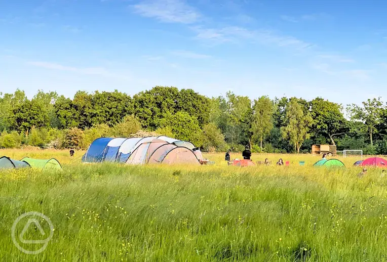 Non electric grass tent pitches