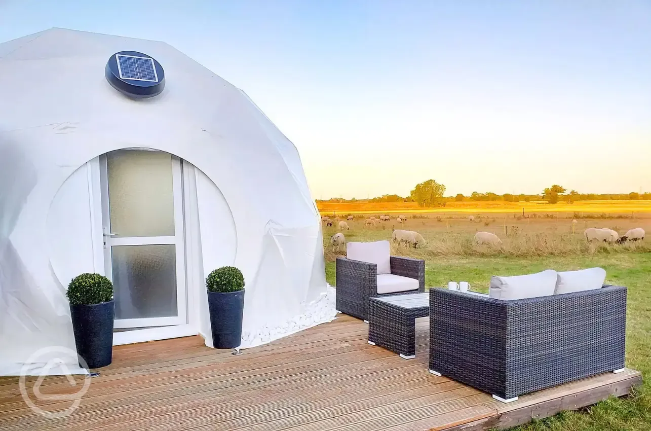 Glamping dome and neighbouring sheep