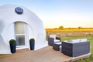 Glamping dome and neighbouring sheep