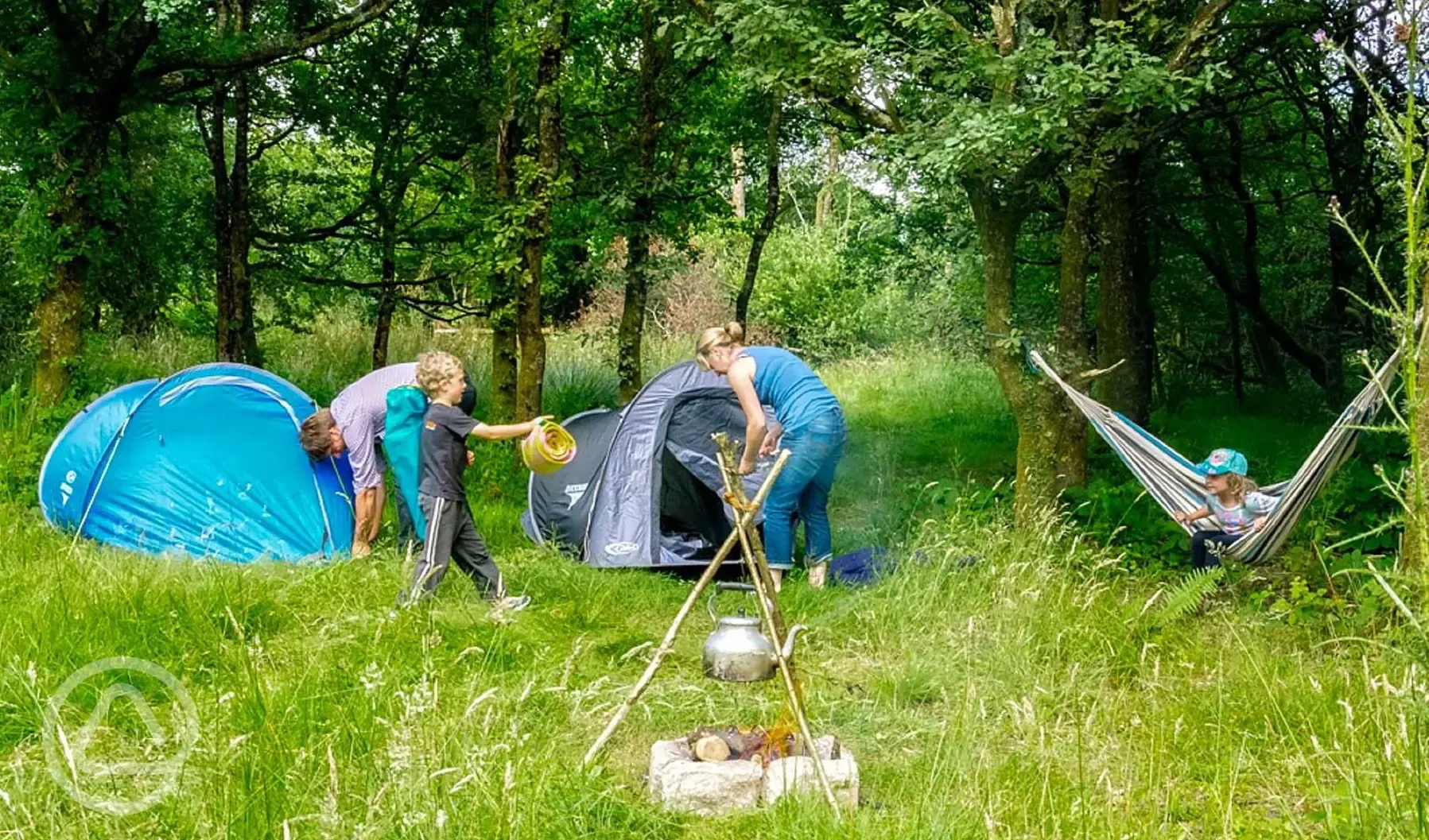 Mystery wood camping pitches