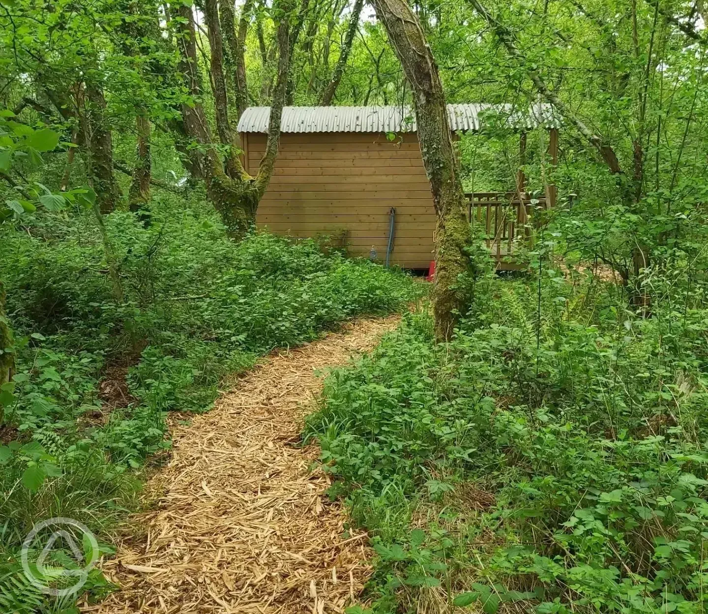 Glamping cabin