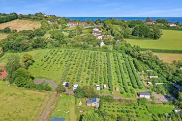 Aerial of the apple camping orchard with views to sea