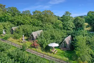 The Hen's Dens at Orchard Organic Farm, Stokeinteignhead, Newton Abbot, Devon