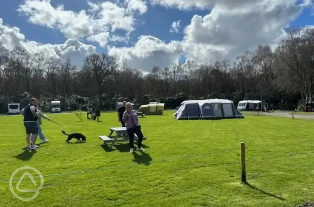 Electric grass pitches also onsite