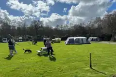 Electric grass pitches