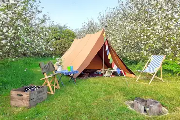Non electric grass pitch in the apple orchard with a fire pit