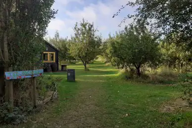 The Orchard at Fen End Farm The Orchard at Fen End Farm