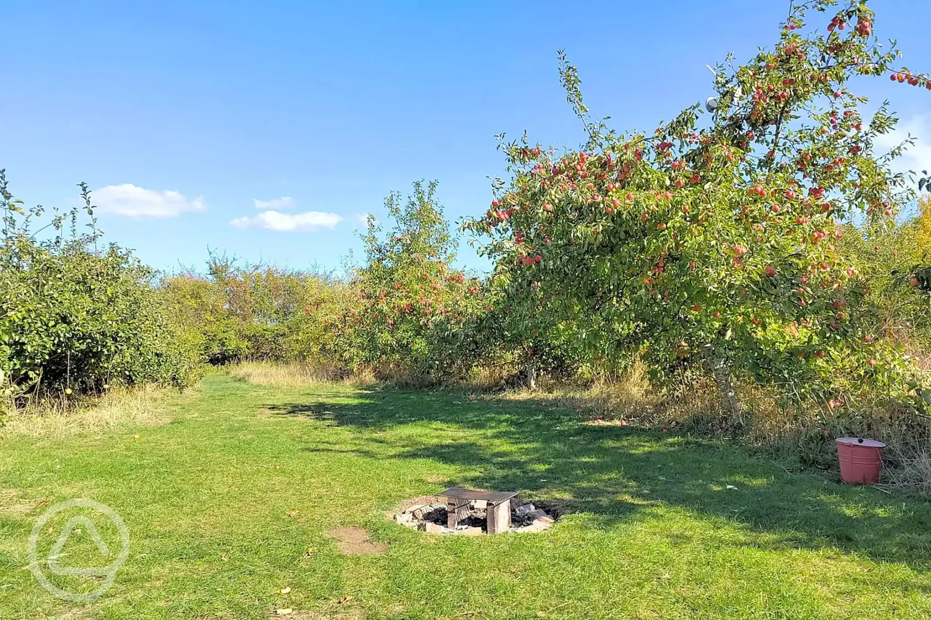 Non electric grass pitch in the apple orchard with a fire pit