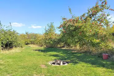 Non electric grass pitch in the apple orchard with a fire pit