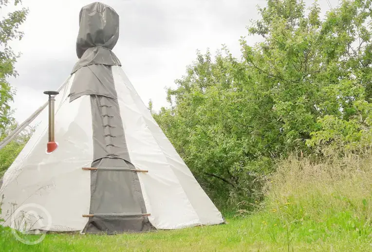 Tipi