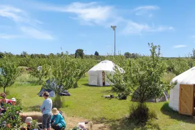 The Orchard at Fen End Farm