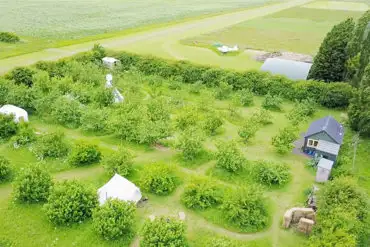 Aerial of the site