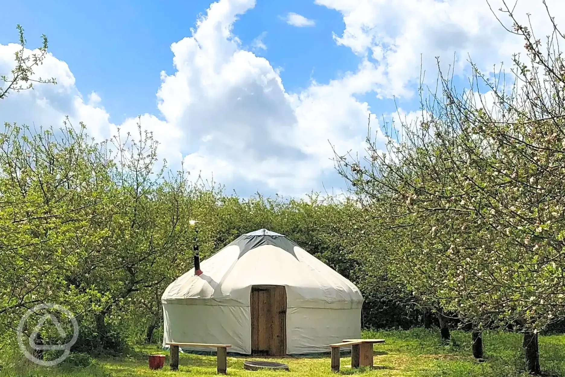 Oak yurt