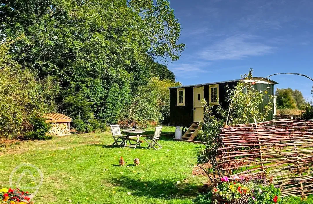 Pond view shepherd's hut