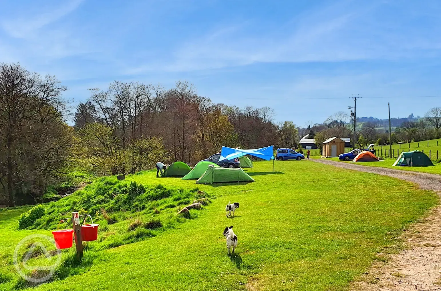 Grass pitches