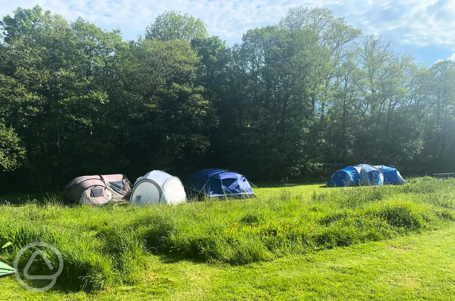 Grass pitches