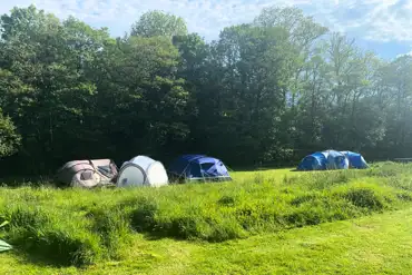 Grass pitches