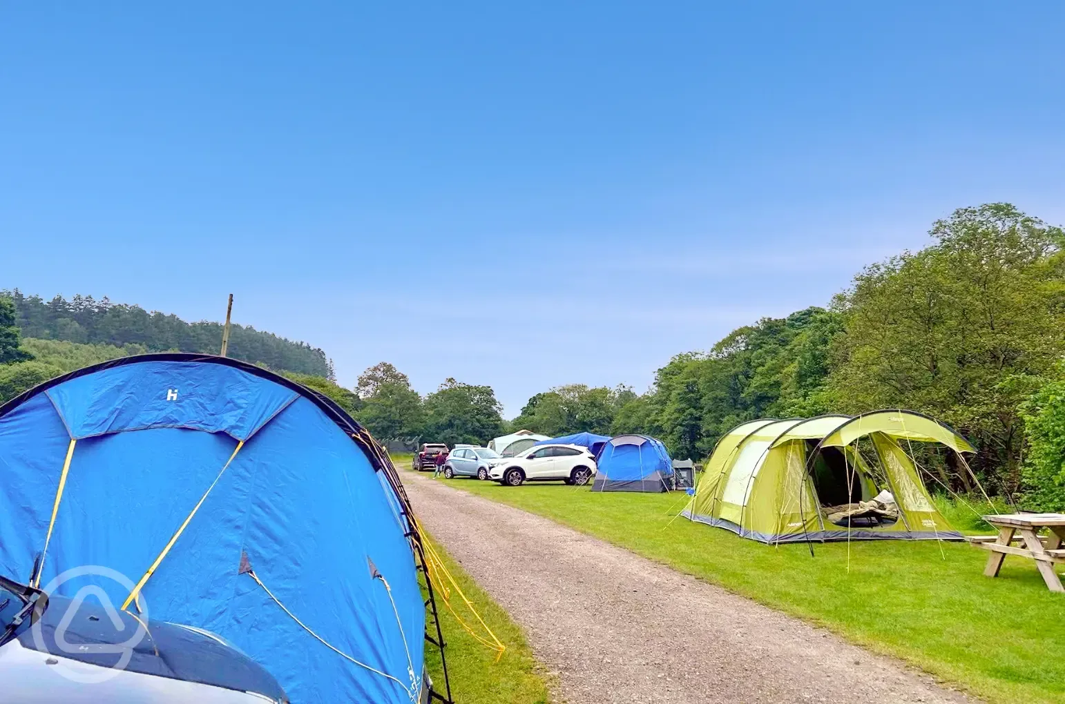Grass pitches