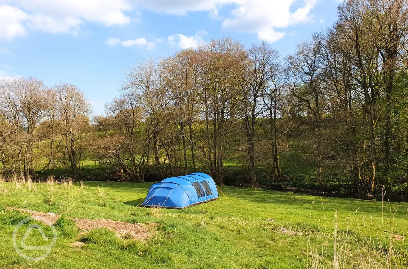 Grass pitches