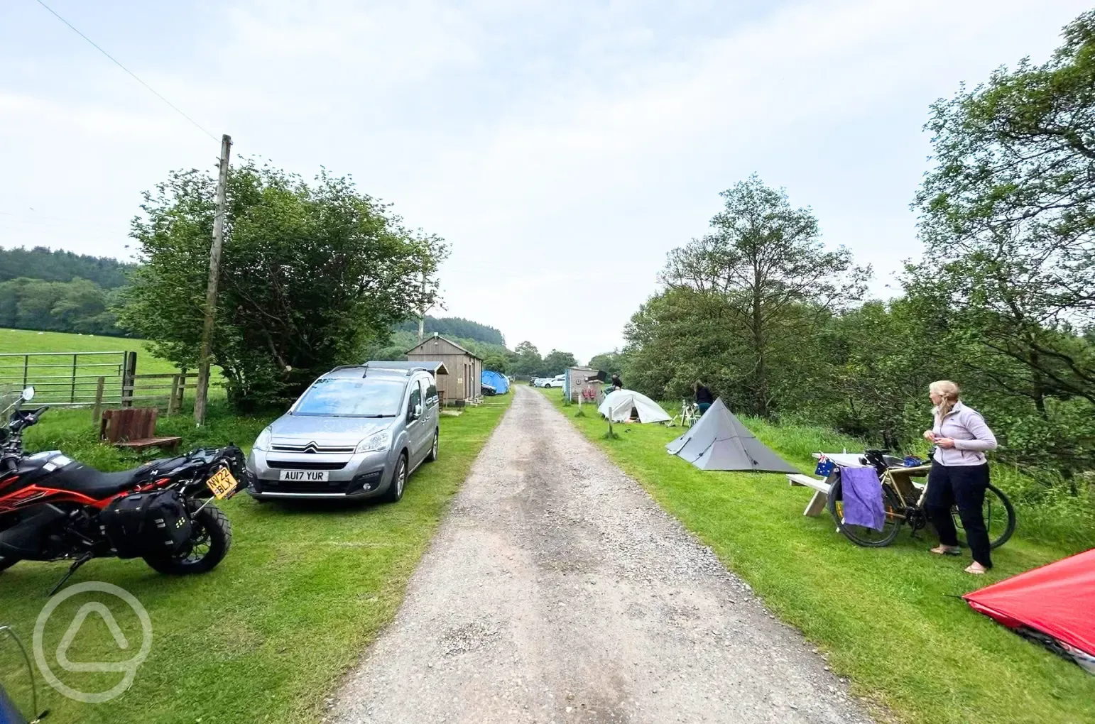 Grass pitches