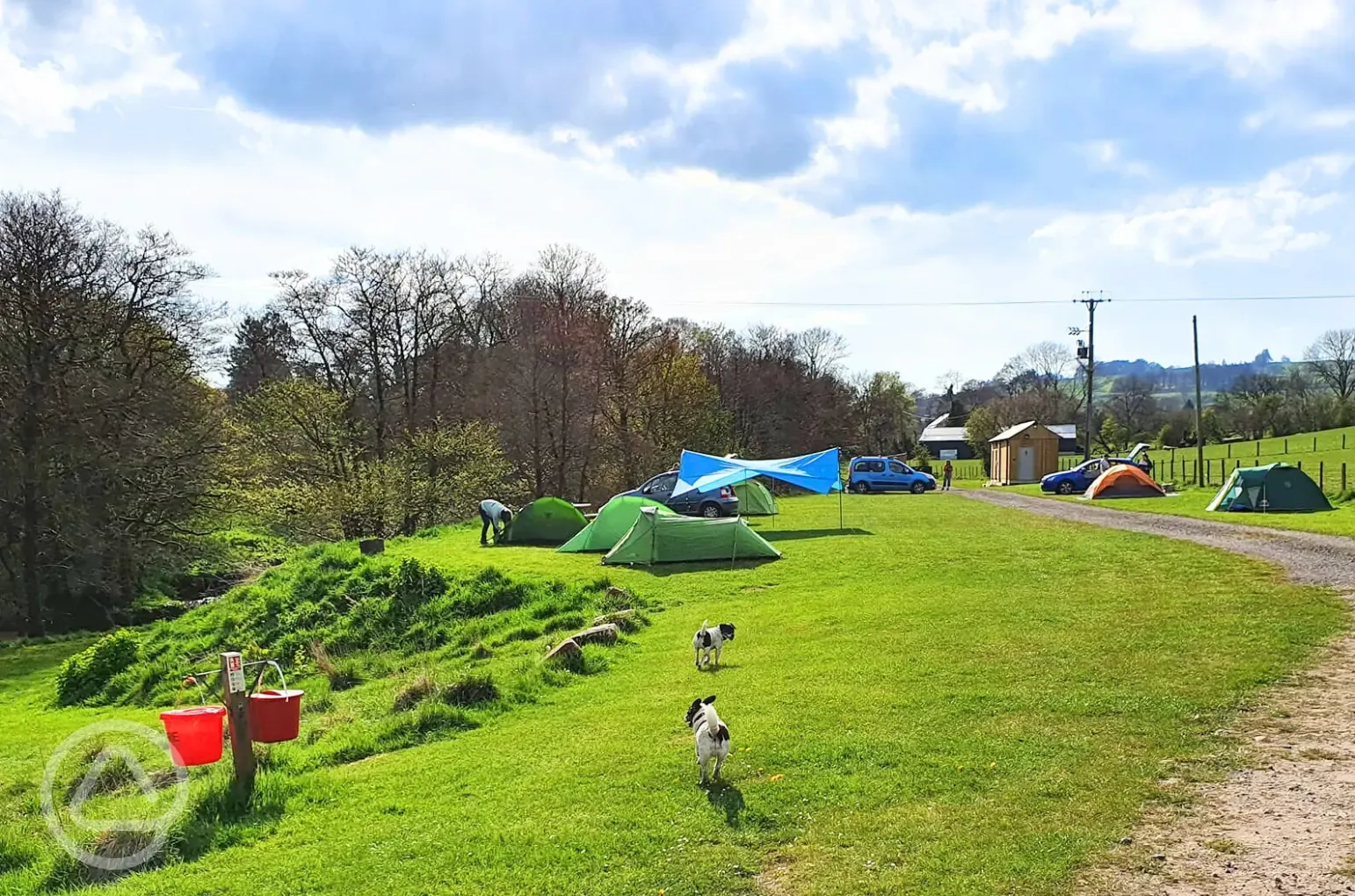 Grass pitches