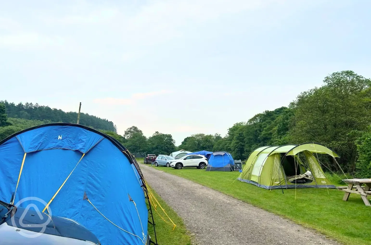 Grass pitches
