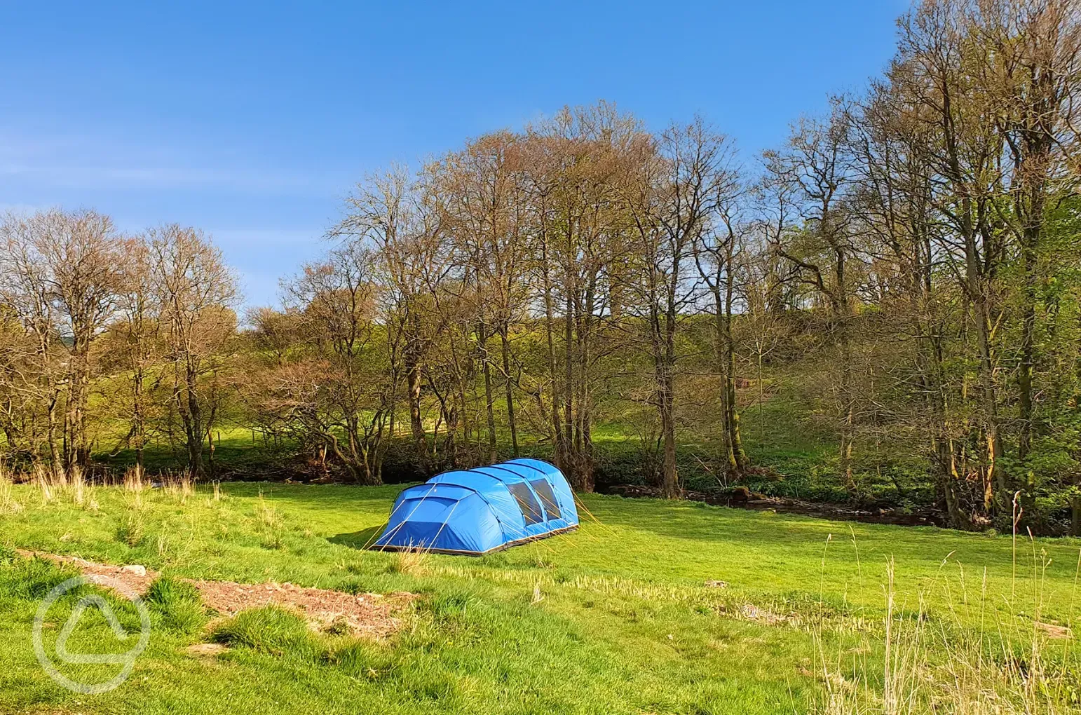 Grass pitches