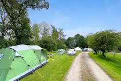 Grass pitches