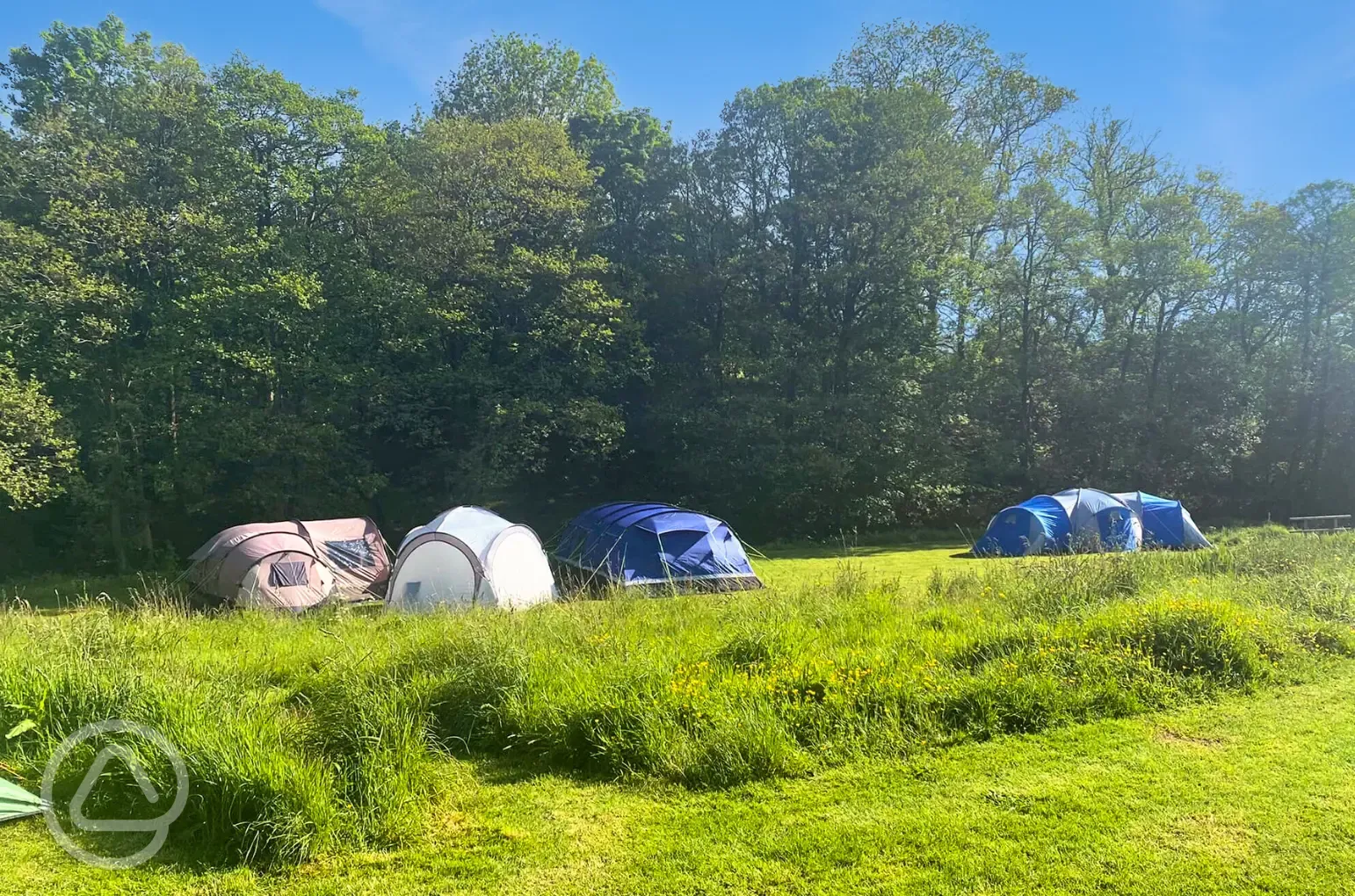 Grass pitches