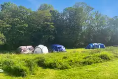 Large tents on non electric grass 5m x 5m pitches