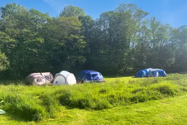 Grass pitches