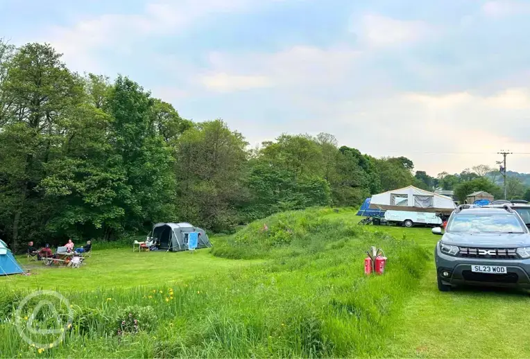 Grass pitches