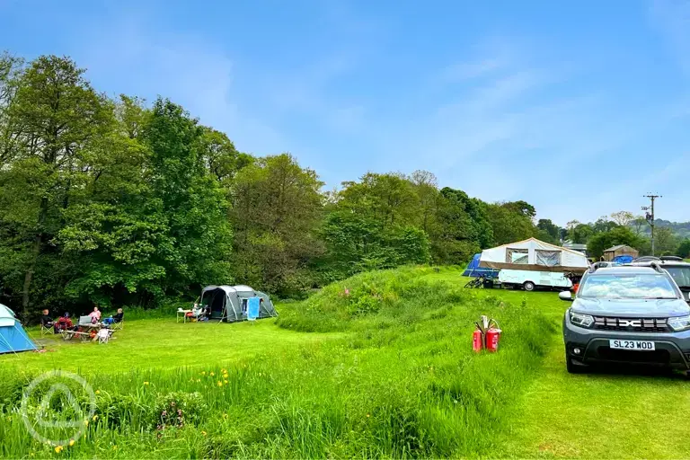 Grass pitches