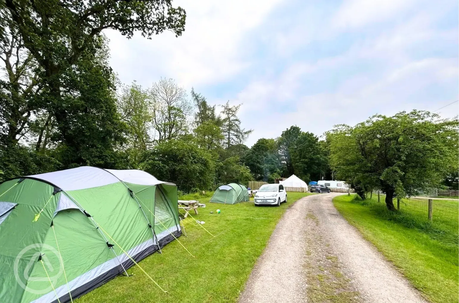 Grass pitches