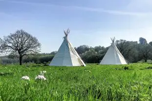 Tipi Adventure, Ross-on-Wye, Herefordshire