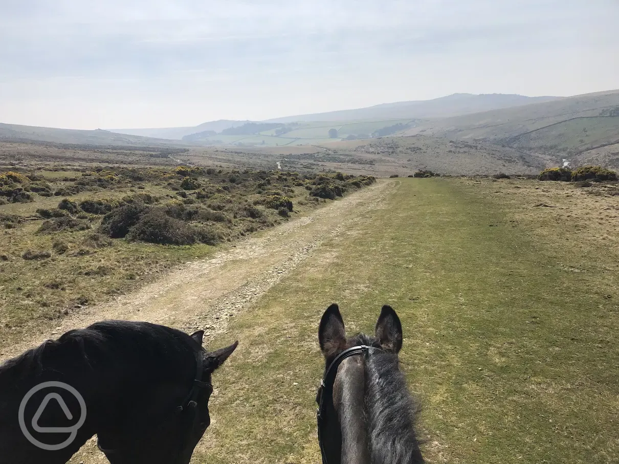 Riding on glorious Dartmoor