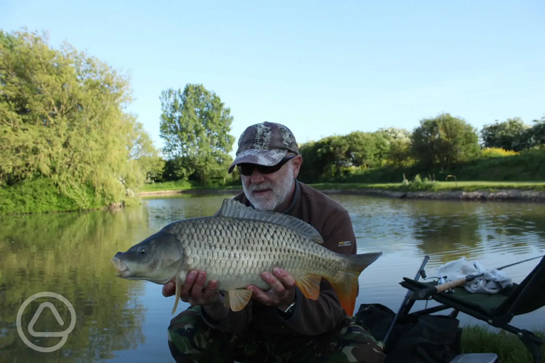 nice size carp