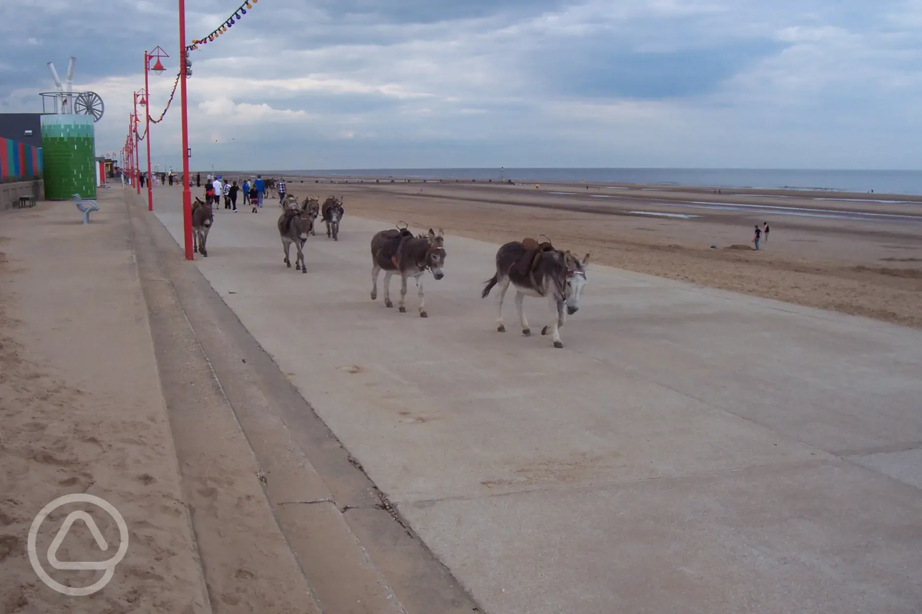 The local Donkeys on Sutton on sea promanade
