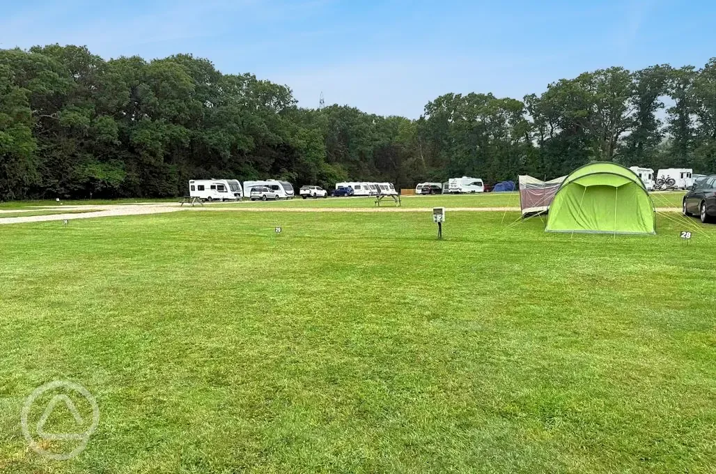 Electric grass pitches at Oakmoor Touring Park