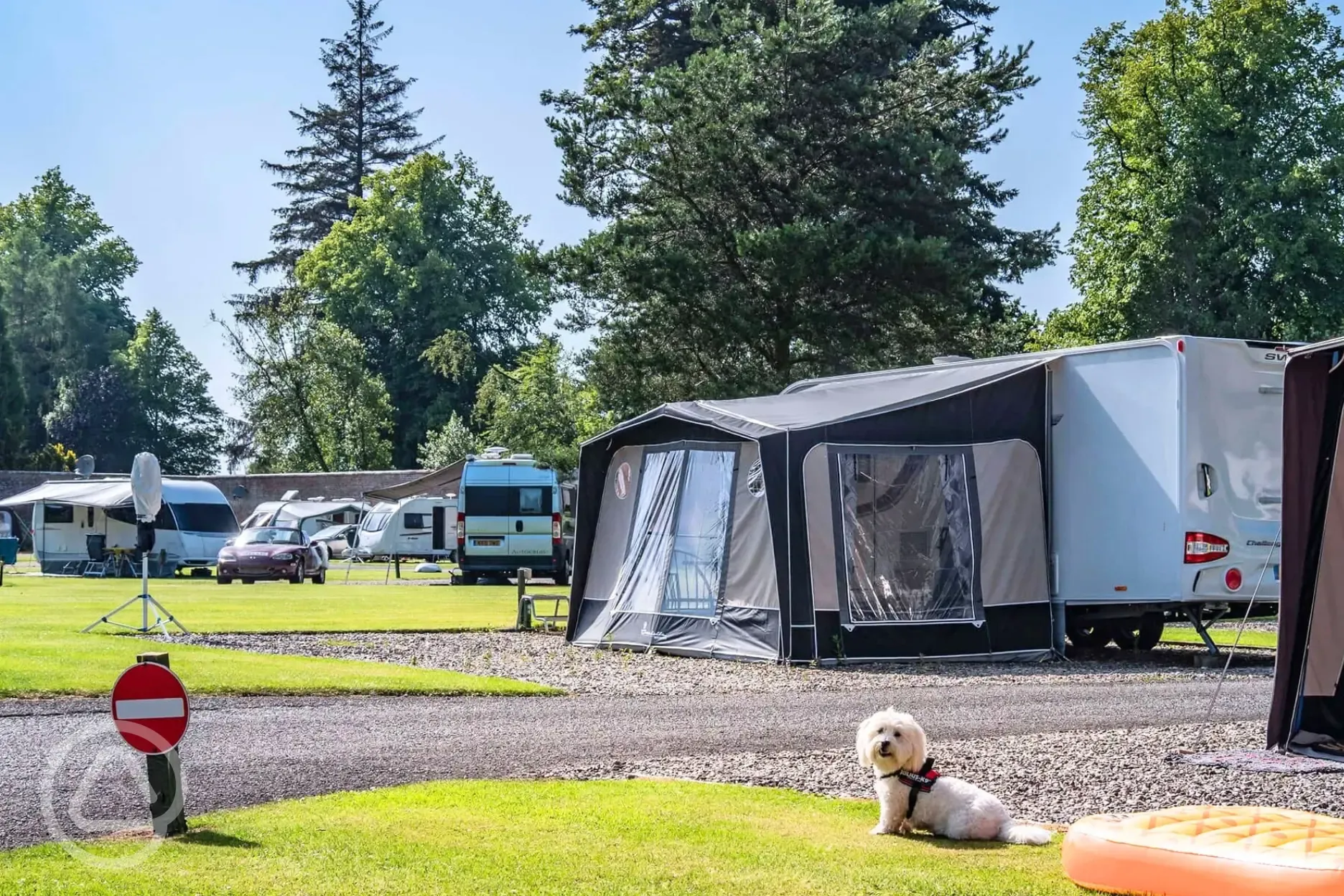 Electric hardstanding pitches - dogs welcome