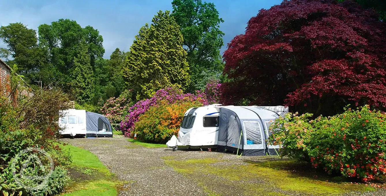 Caravans on electric hardstanding pitches with awnings Caravans on electric hardstanding pitches with awnings