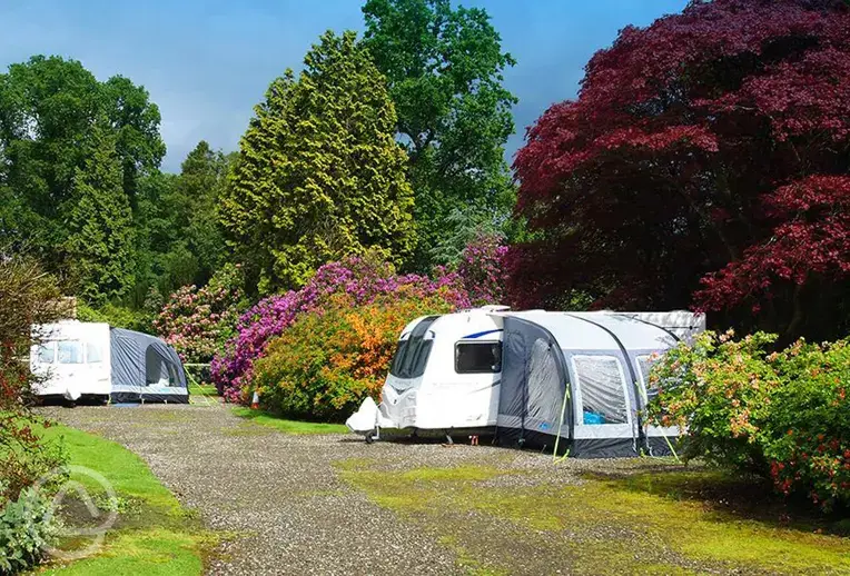 Caravans on electric hardstanding pitches with awnings