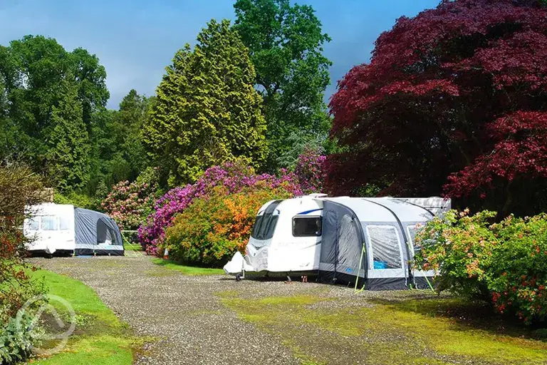 Caravans on electric hardstanding pitches with awnings
