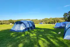 Non electric grass tent pitches