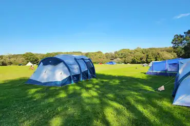 Non electric grass tent pitches at Hale Farm Campsite