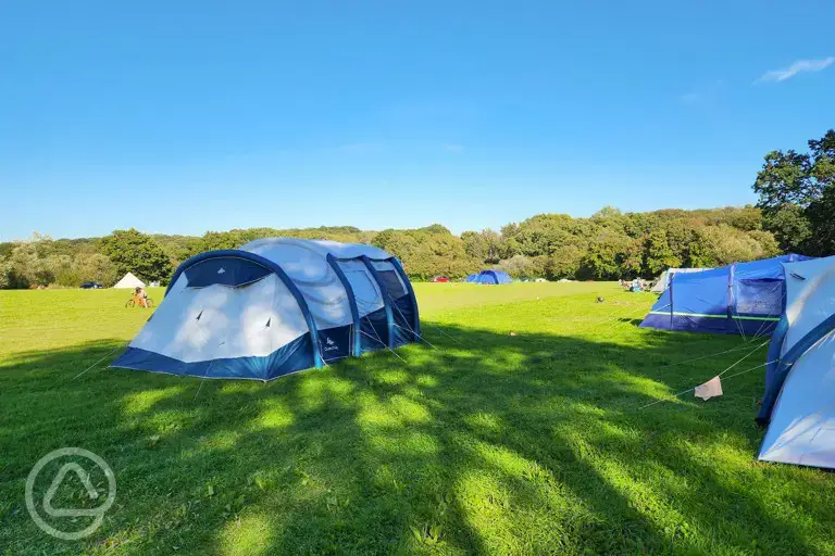 Non electric grass tent pitches