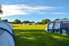 Non electric grass tent pitches