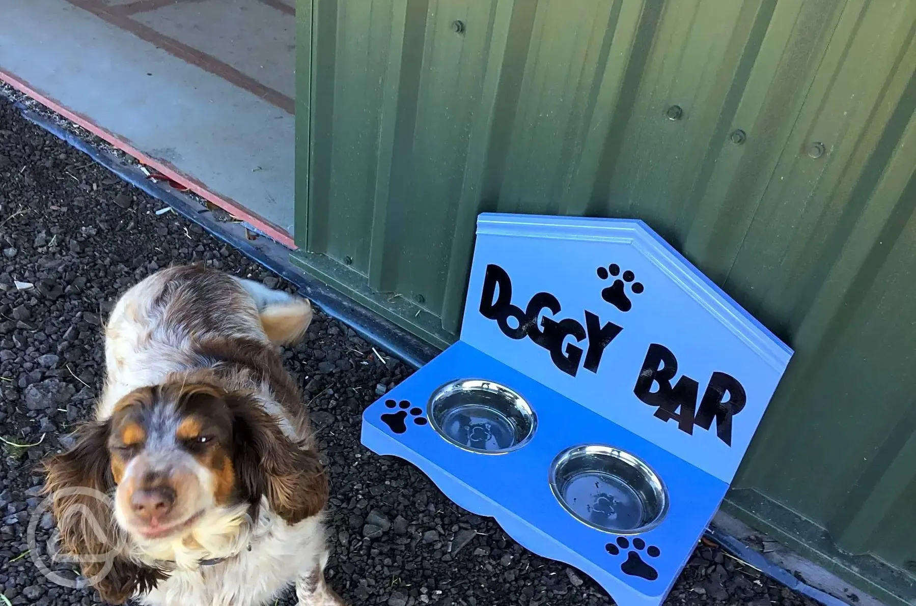 Dog water station