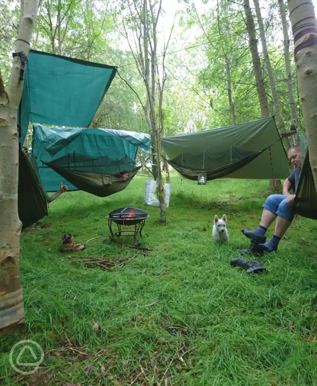 Hammock pitches